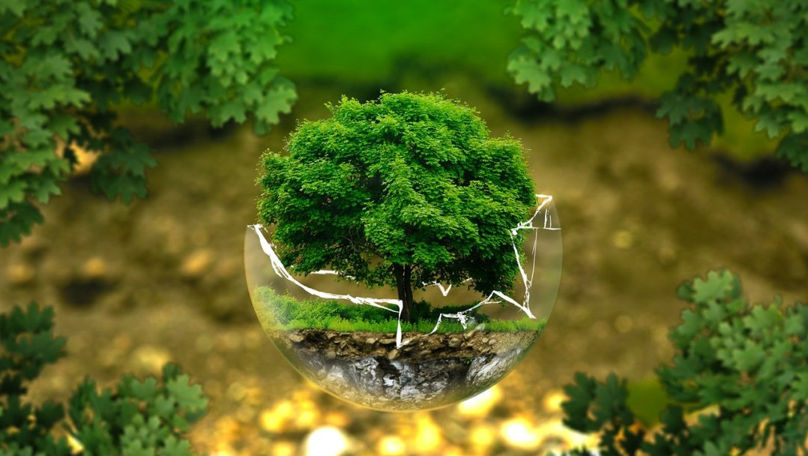 A fost lansat concursul EcoTech - Soluții IT pentru un mediu mai curat