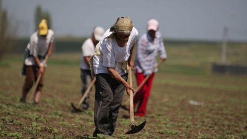 Problemele din domeniul agricol, discutate de fermieri la Cahul