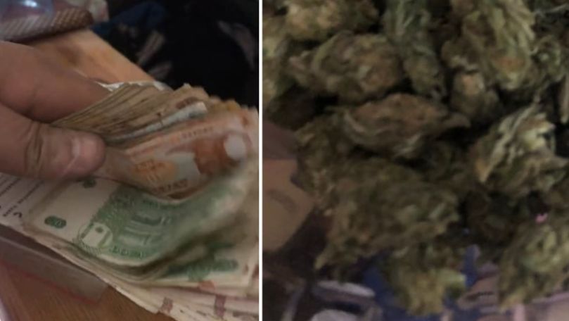 Un bărbat din Anenii Noi creștea droguri de 50.000 de lei în gospodărie