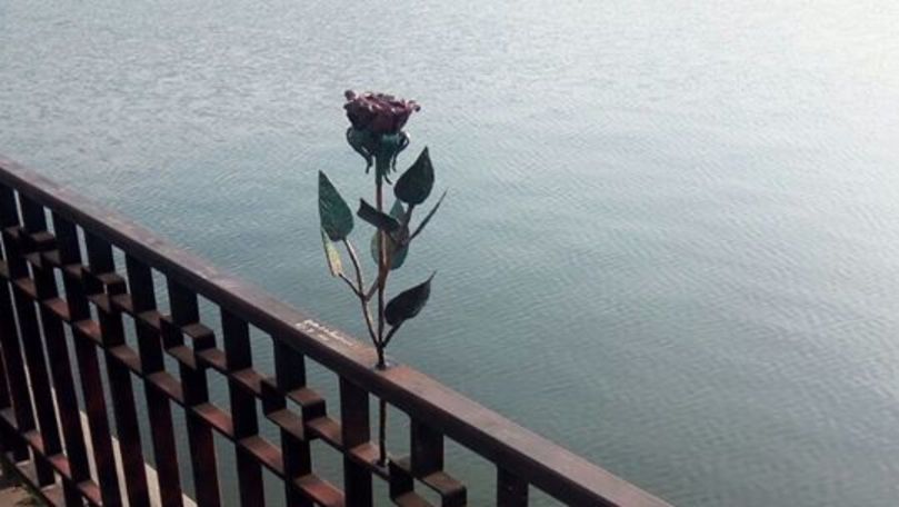 Trandafirul recent instalat în Parcul Valea Morilor a fost vandalizat