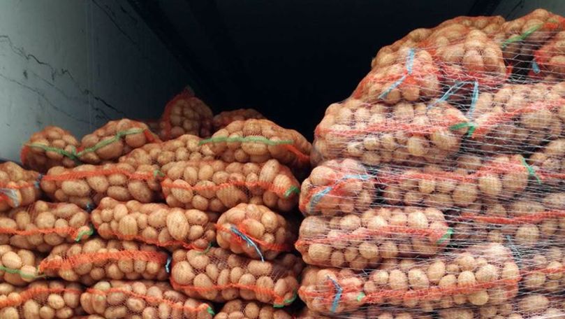 ANSA a întors 21 de tone de cartofi cu viermi României