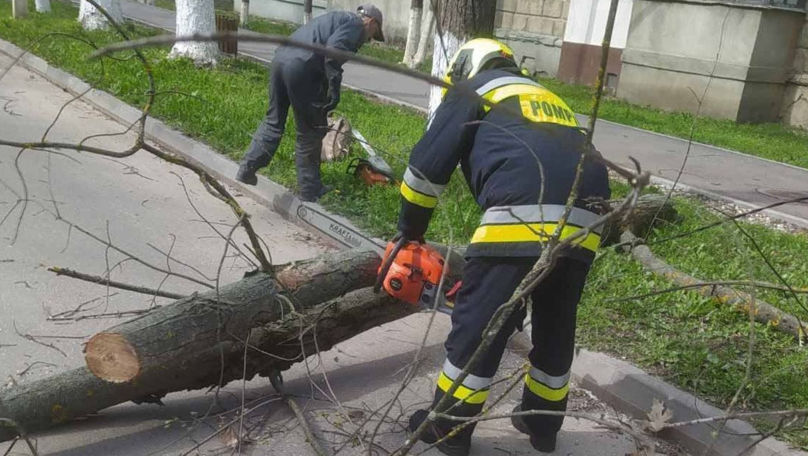 В Молдове из-за сильного ветра спасатели зафиксировали 58 вызовов.