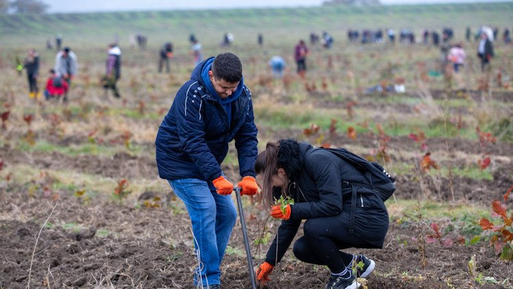 UN Women și PNUD lansează un proiect pentru femei și mediu
