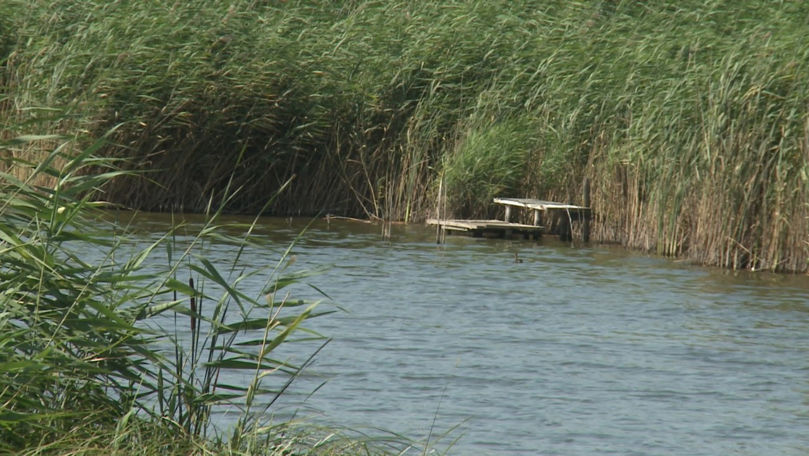 Doliu în satul Chiperceni, după ce doi frați au fost găsiți înecați