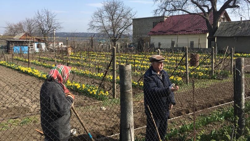 Istoria pensionarilor cu flori din Sângera se repetă: Cum pot fi ajutați
