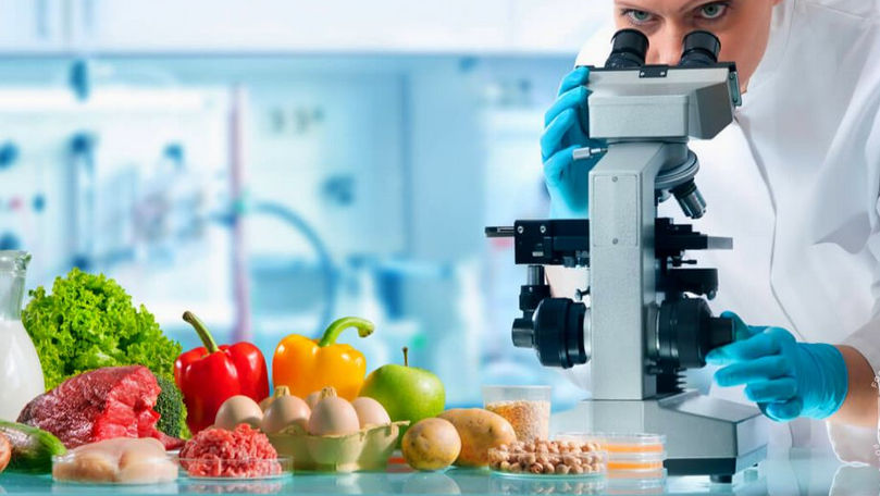 Germania și Moldova vor colabora în domeniul siguranței alimentare