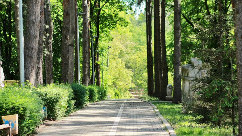 Ziua Mondială a Mediului: Ce evenimente vor avea loc la Edineț