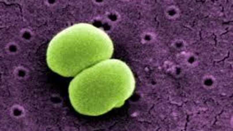 Bacteria existentă pe pielea tuturor devine rezistentă la antibiotice