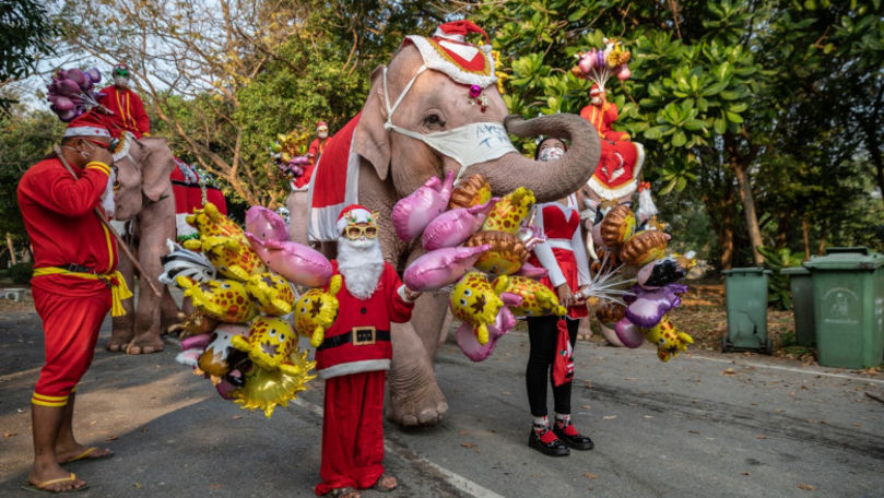 Elefanți în rol de Moș Crăciun pentru copiii unei școli din Thailanda