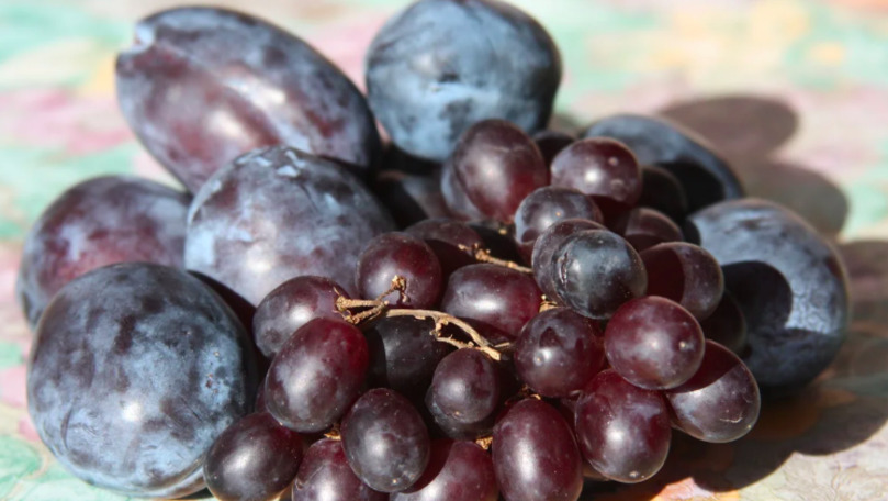 В 2018 году евроквоты на экспорт сливы и винограда к началу зимы были выбраны полностью