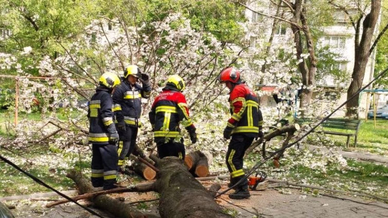 ГИЧС подвёл итоги шквалистого ветра: более 100 выездов и пострадавшие.
