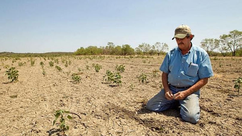 Situația din agricultură: Fermierii cer întrevedere cu Sandu și Grosu