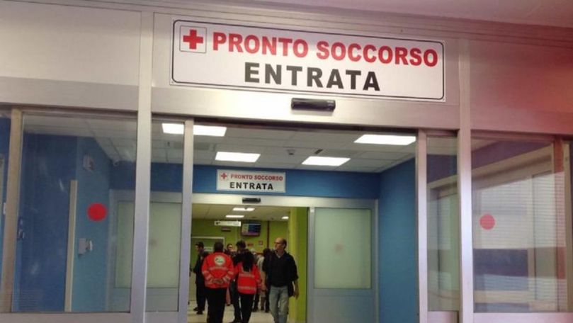 Un moldovean a ajuns la spital, fiind înțepat de o viespe în Italia