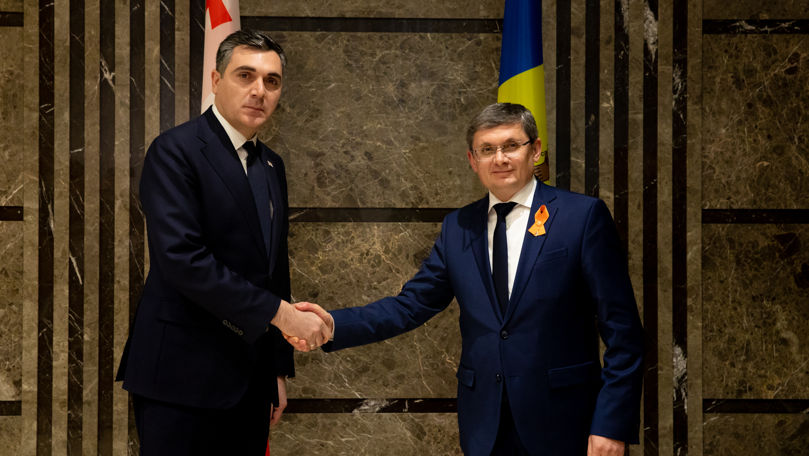 Parcursul european, discutat de Grosu cu ministrul georgian de Externe