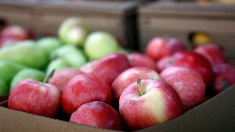 Молдавские грузоперевозчики не могут завозить продукцию в Россию.