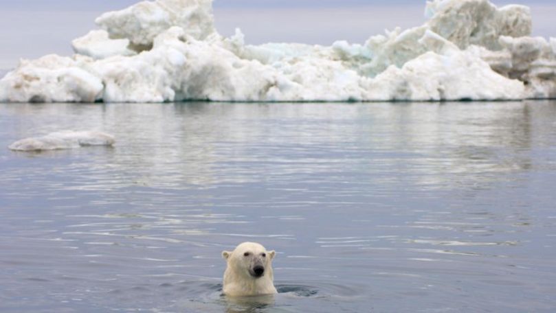 Problema Oceanului Arctic care îi îngrijorează pe oamenii de știință