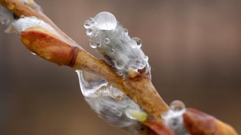 Alertă meteo: Codul galben de îngheț, prelungit în toată țara