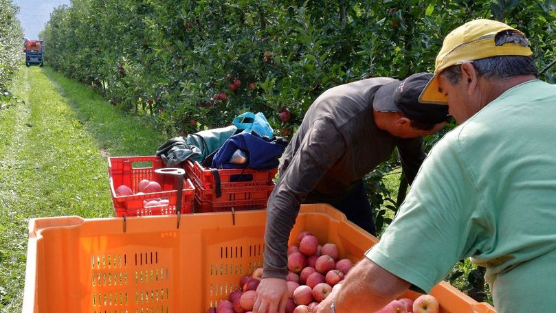 Зараженные COVID 20 румын и молдаванин сбежали из карантина в Италии.