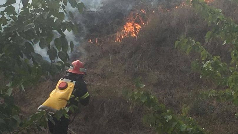 Incendiu în Delta Dunării: Flăcările au mistuit 10 hectare de vegetație