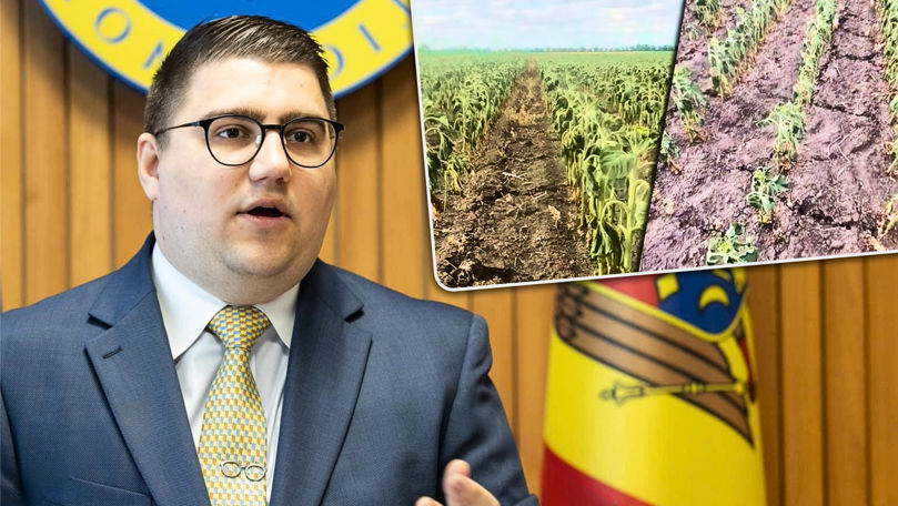 Guvernul promite sprijin pentru fermierii afectați de secetă