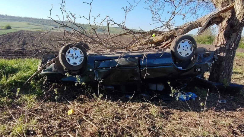 Accident mortal în raionul Briceni: Un Audi s-a izbit într-un copac