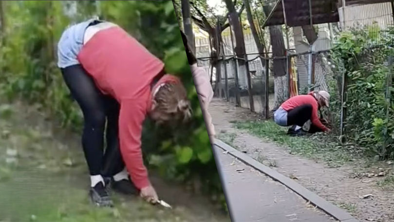 Zilnic săpa pământul cu un cuțit lângă o grădiniță: O femeie, reținută