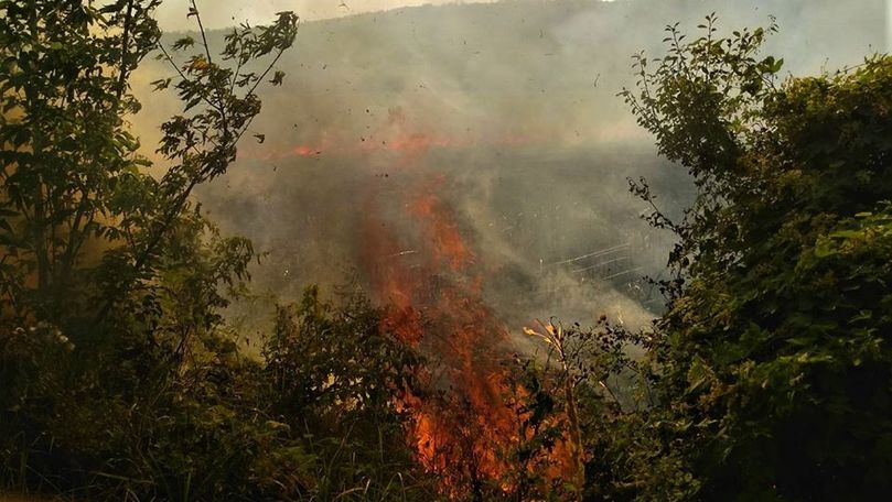 Incendiu la Ungheni: Un teren cu vegetație uscată a luat foc