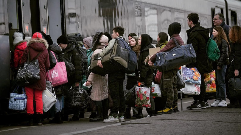 Care au fost cele mai frecvente solicitări ale refugiaților în 2023