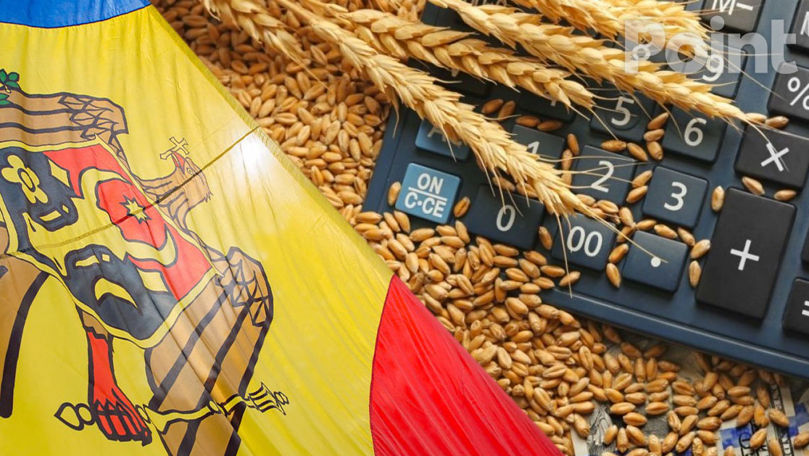 Молдова вошла в топ-3 экспортеров пшеницы в ЕС.