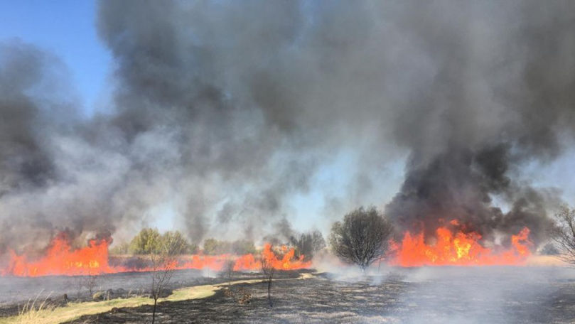Imagini apocaliptice în Delta Dunării din cauza incendiilor provocate de oameni