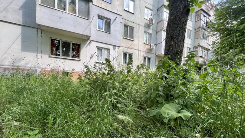 Iarba din mai multe curți din Bălți, necosită. Apelul autorităților