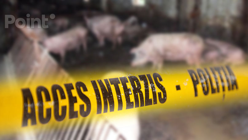 СМИ: В Новых Аненах сожители убили трех мужчин и скормили свиньям.