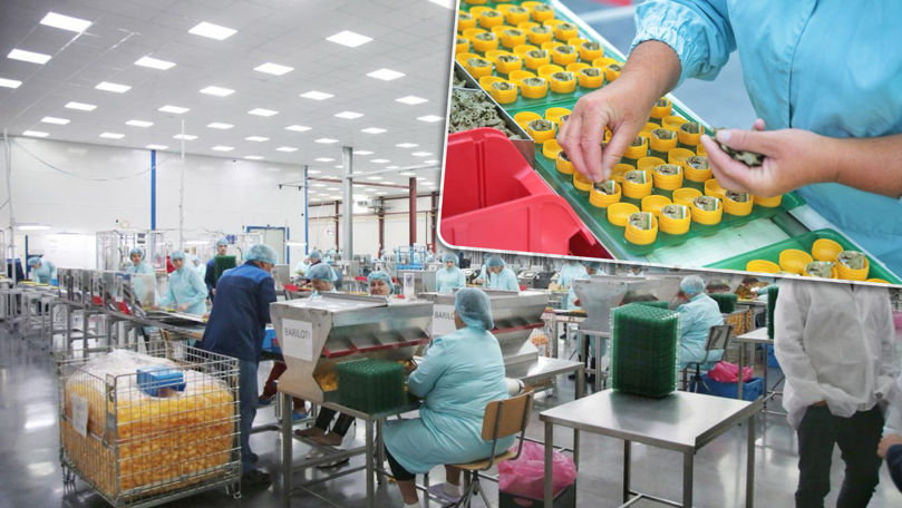 Kinder Made in Moldova pentru întreaga lume, fabricat la Râșcani