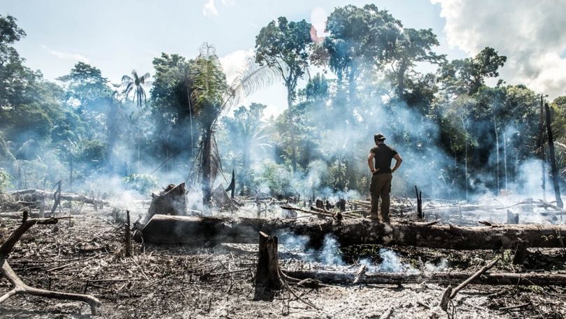 Liderii G7 vor participa la rezolvarea situaţiei din Pădurea Amazoniană