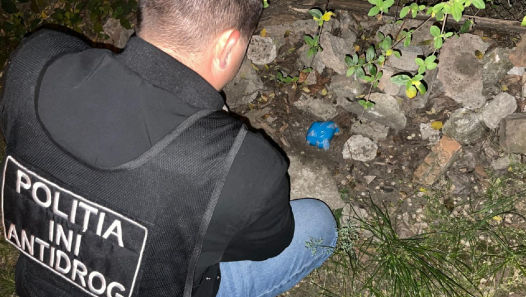 Droguri în valoare de 500.000 lei, ridicate: O grupare, anihilată de INI