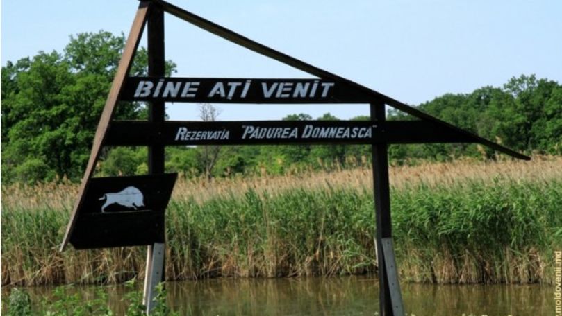 Rezervaţia Pădurea Domnească a împlinit 25 de ani de la fondare