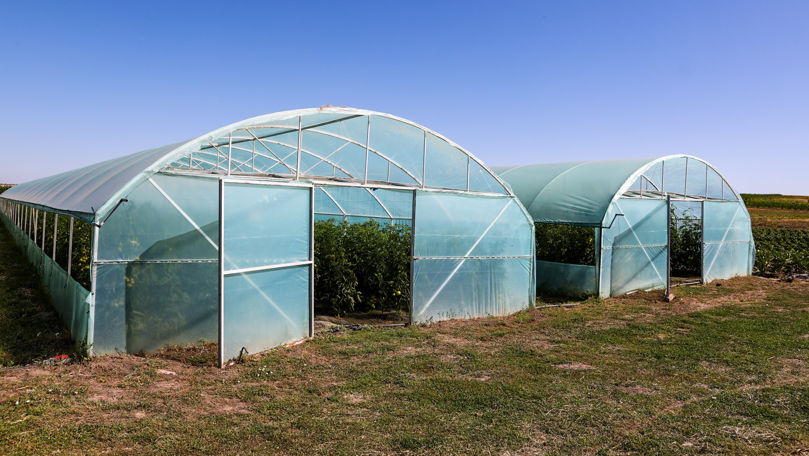Recean a discutat cu proprietarii unei afaceri agricole din Căușeni
