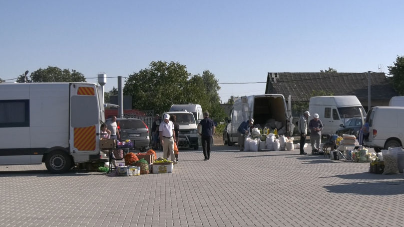 An agricol dezastruos la Ștefan Vodă: Fermierii abia scot marfă la piață
