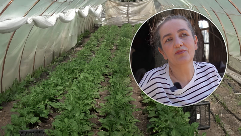Povestea Angelei Bejenari, care de 20 de ani crește legume și fructe bio