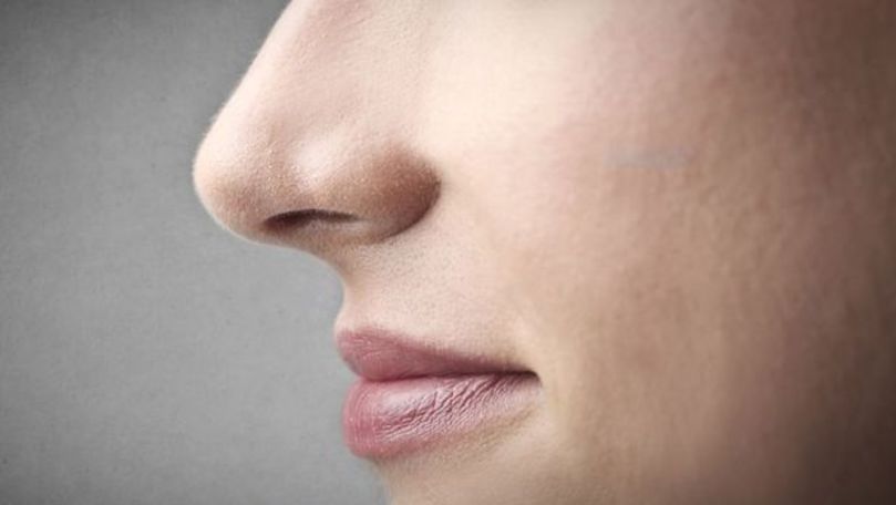 Capacităţile incredibile ale nasului. Este şi sursă de antibiotice
