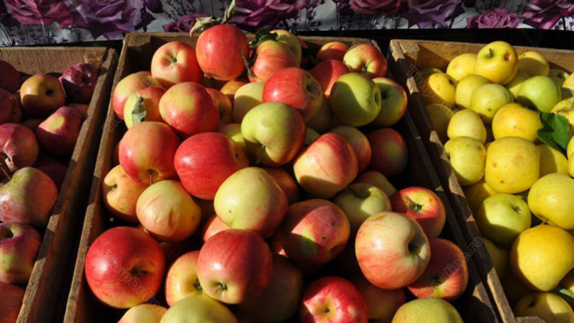 Consecințele ploilor cu grindină: Mai puține mere pentru export
