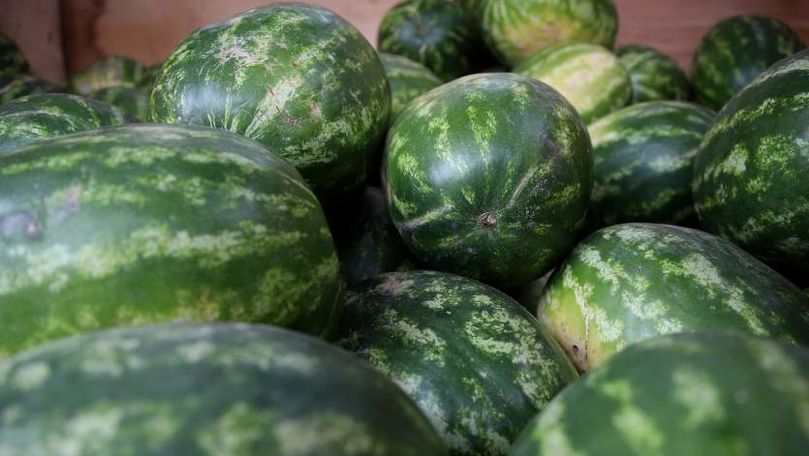 Агроном назвал признаки нитратов в арбузе.
