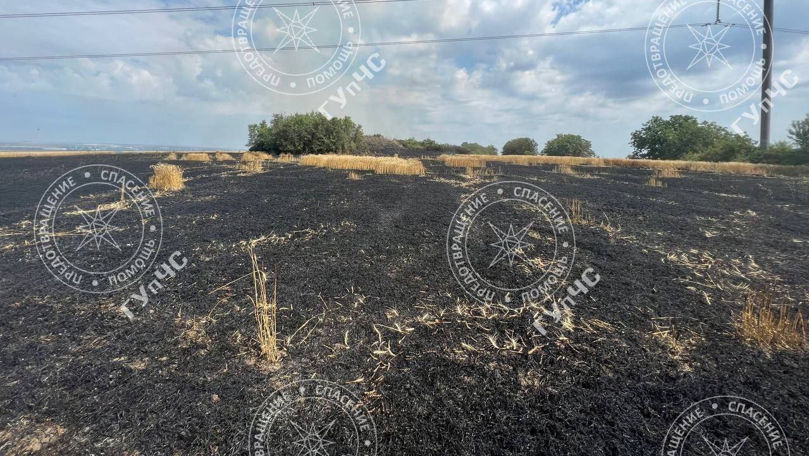 Aproximativ opt hectare de grâu au ars în stânga Nistrului