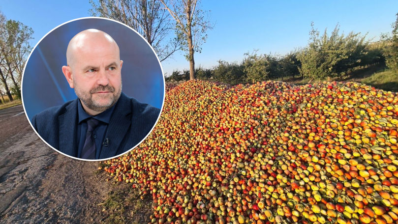 Ministrul Agriculturii, despre merele aruncate la Edineț: Nu vă panicați