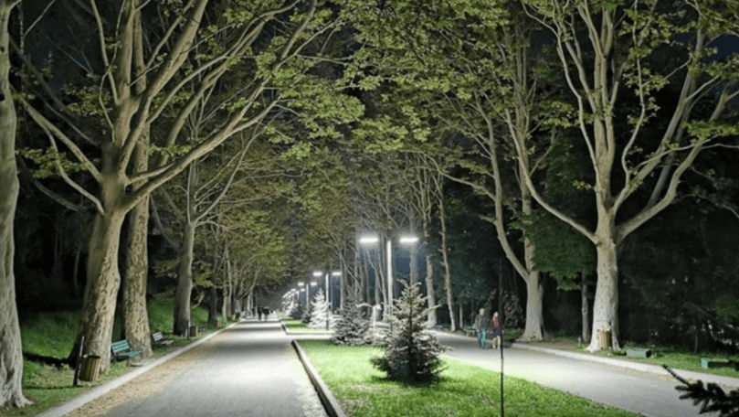 В столичном парке 14-летняя девочка подверглась сексуальному насилию.