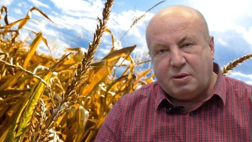 Директор программ IDIS Viitorul Виорел Киврига.