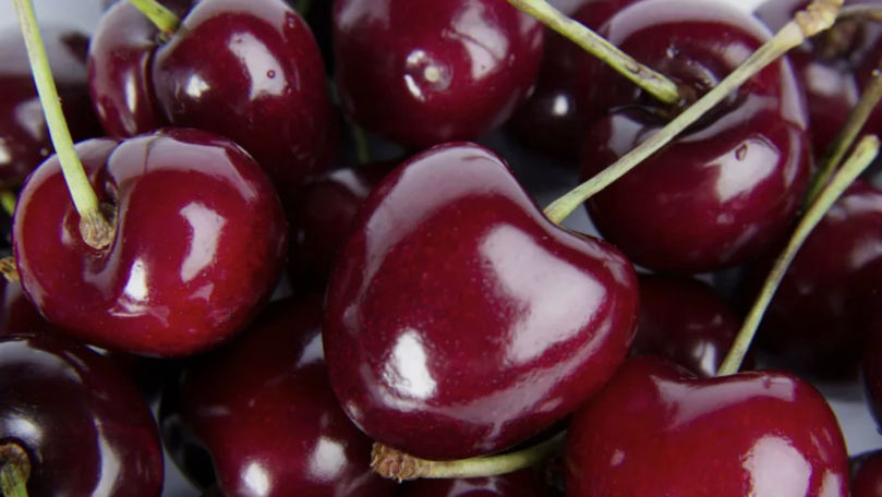 Exportul de cireșe din Moldova în 2025: Mai puține tone, dar mai mulți bani.