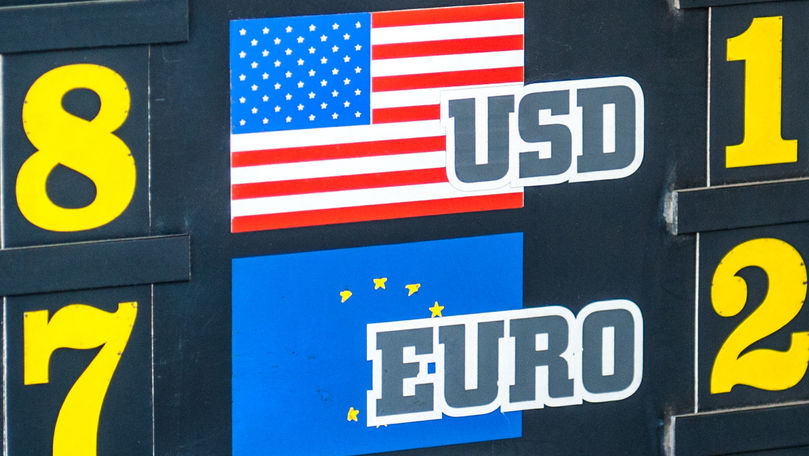 Curs valutar 13 noiembrie 2018: Euro şi dolarul pierd terenul