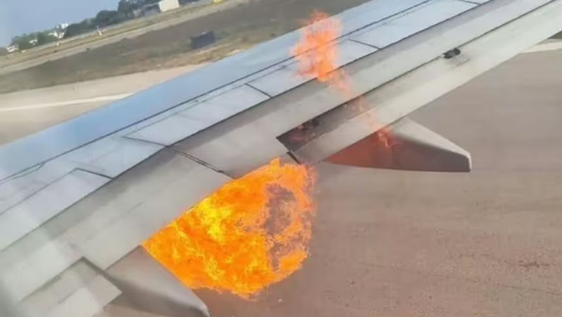 Un avion s-a aprins în zbor după ce un iepure a fost aspirat în motor