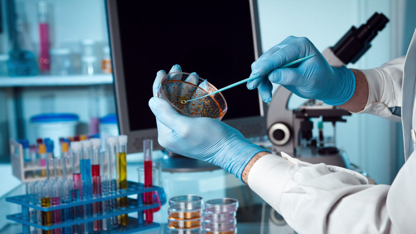 Utilizarea microorganismelor modificate genetic, controlată mai strict